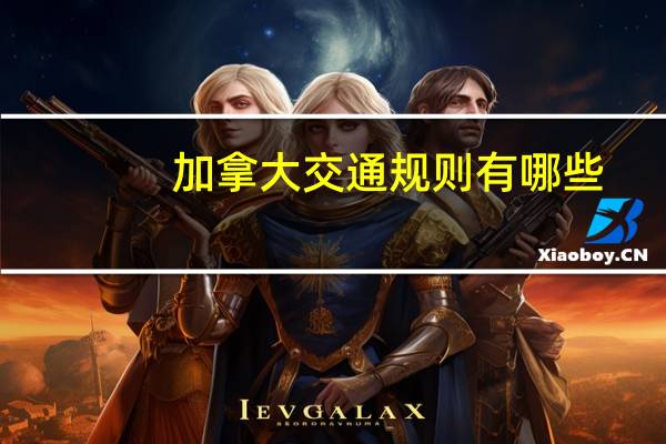 加拿大交通规则有哪些