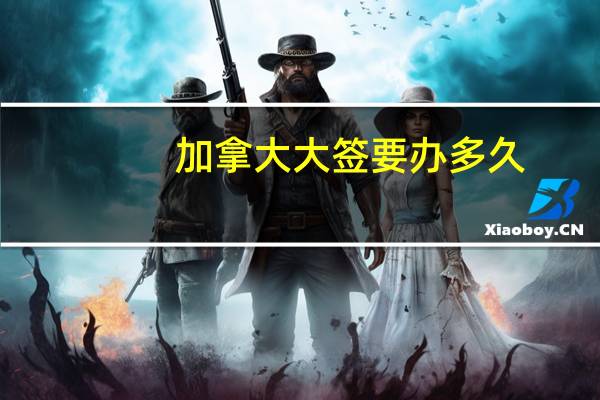 加拿大大签要办多久