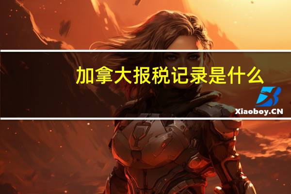 加拿大报税记录是什么
