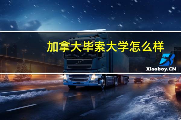 加拿大毕索大学怎么样