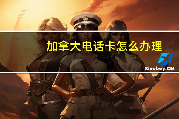 加拿大电话卡怎么办理