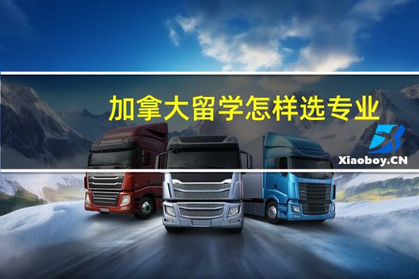 加拿大留学怎样选专业