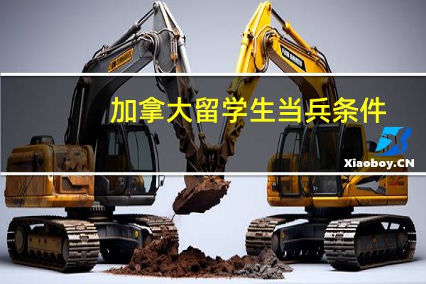 加拿大留学生当兵条件
