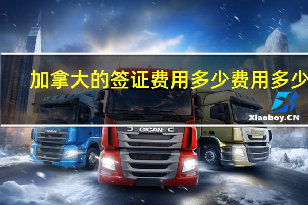 加拿大的签证费用多少费用多少钱
