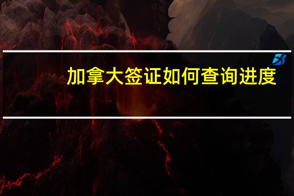 加拿大签证如何查询进度