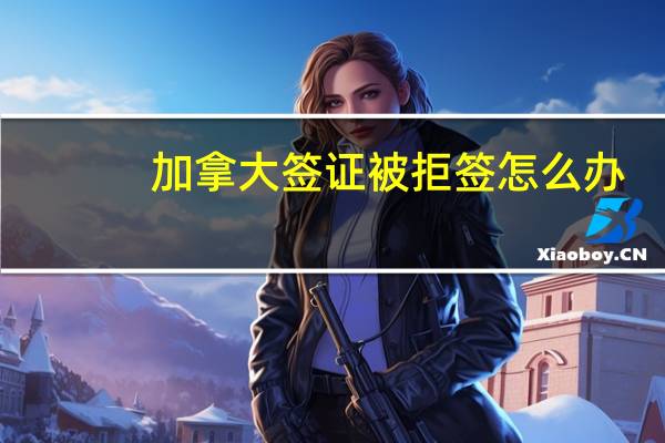 加拿大签证被拒签怎么办