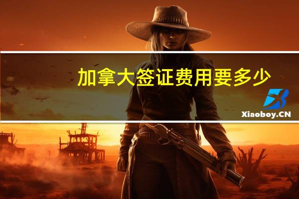 加拿大签证费用要多少