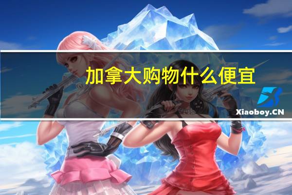 加拿大购物什么便宜