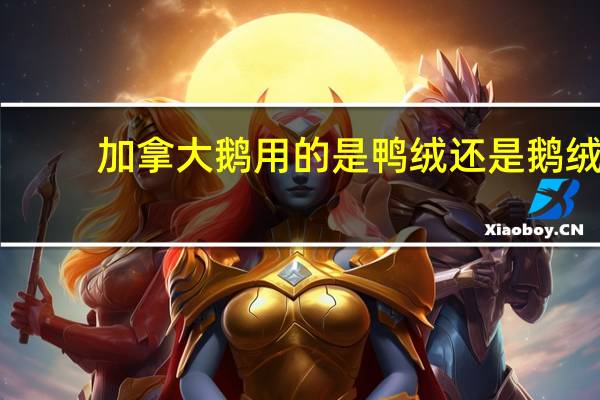 加拿大鹅用的是鸭绒还是鹅绒