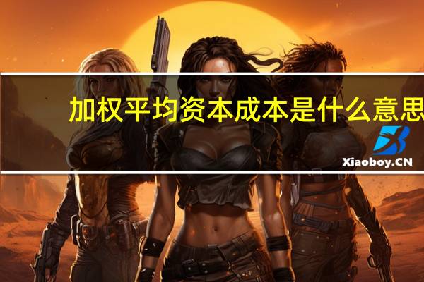 加权平均资本成本是什么意思