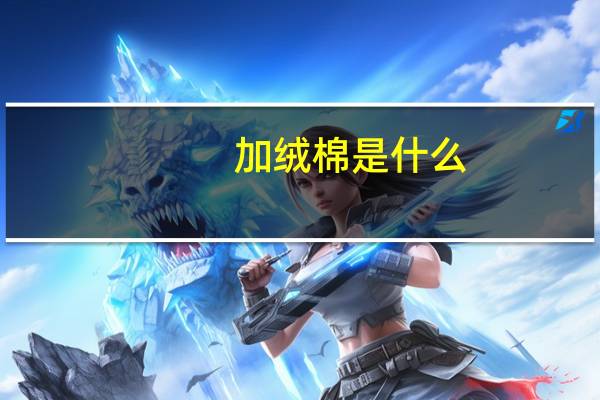 加绒棉是什么