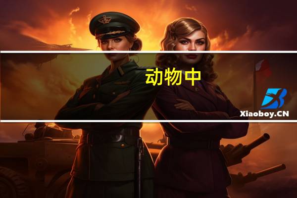 动物中，哪只动物的牙齿最坚硬