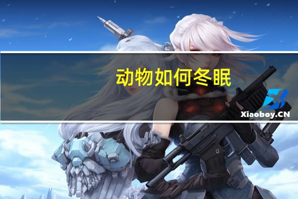 动物如何冬眠