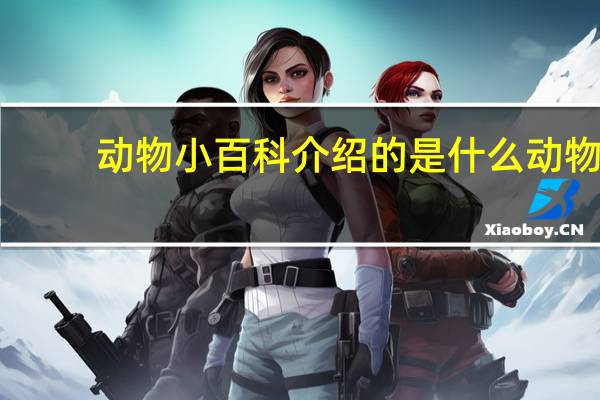 动物小百科介绍的是什么动物