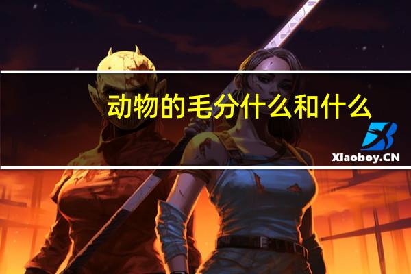 动物的毛分什么和什么