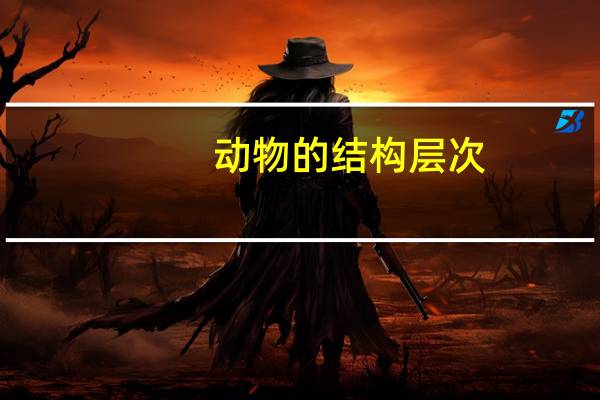 动物的结构层次