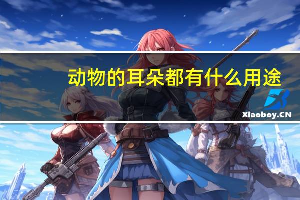 动物的耳朵都有什么用途