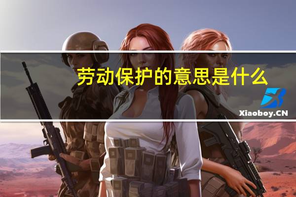 劳动保护的意思是什么