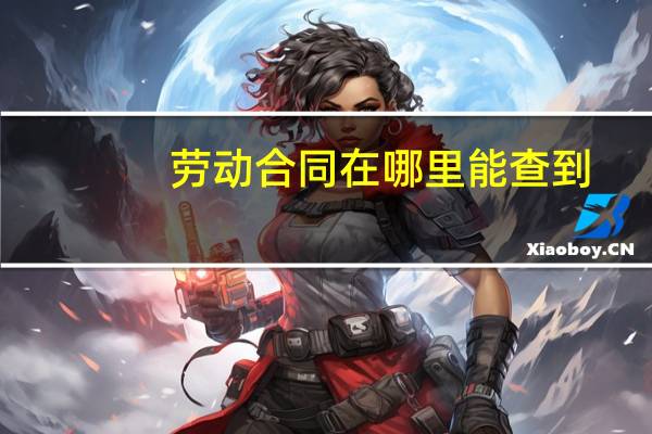 劳动合同在哪里能查到