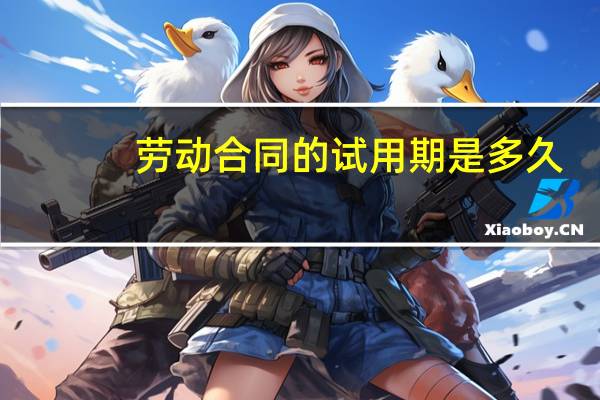 劳动合同的试用期是多久