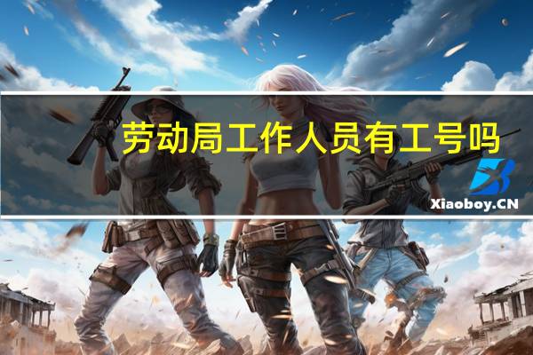 劳动局工作人员有工号吗
