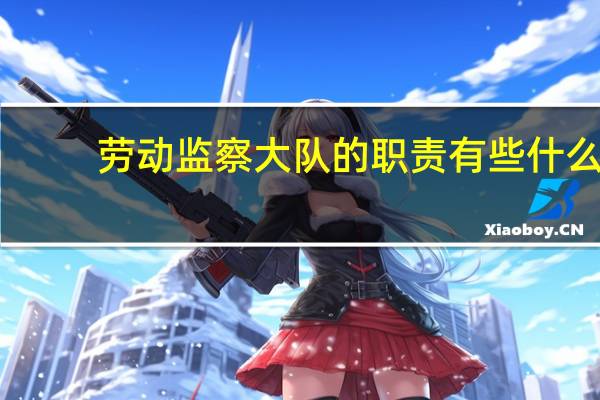 劳动监察大队的职责有些什么