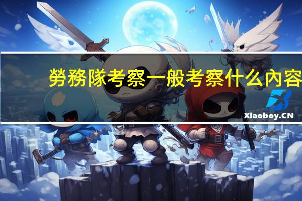 勞務隊考察一般考察什么內容