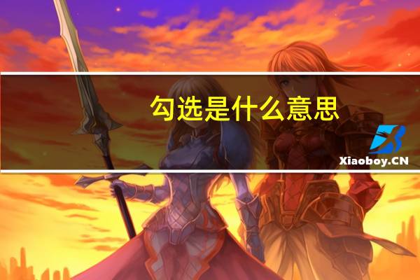 勾选是什么意思