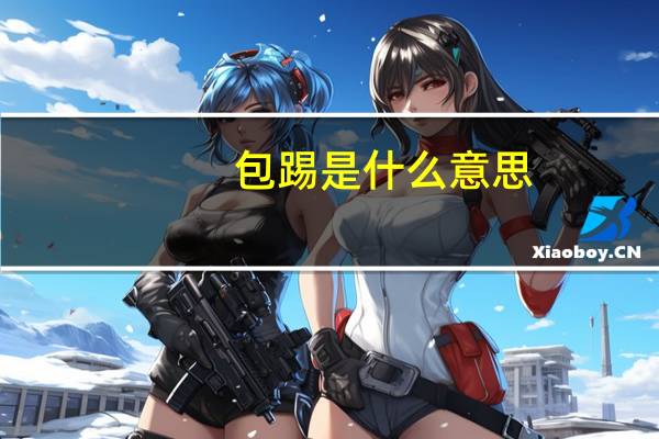 包踢是什么意思