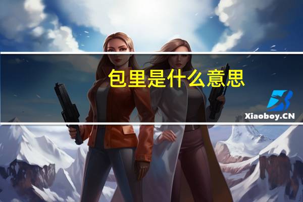 包里是什么意思