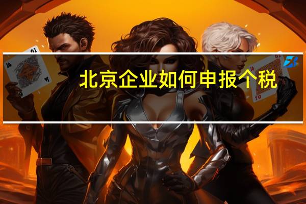 北京企业如何申报个税