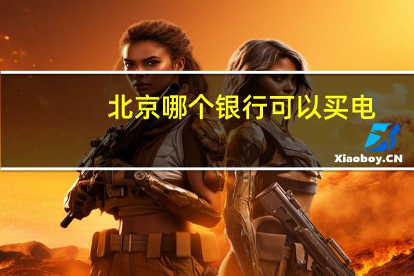 北京哪个银行可以买电
