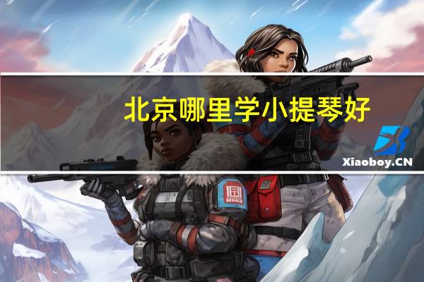 北京哪里学小提琴好