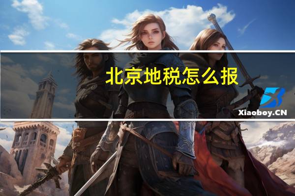 北京地税怎么报