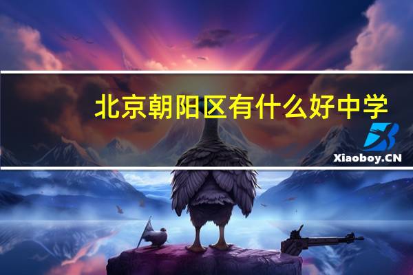 北京朝阳区有什么好中学