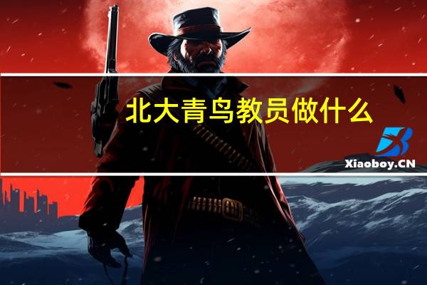 北大青鸟教员做什么