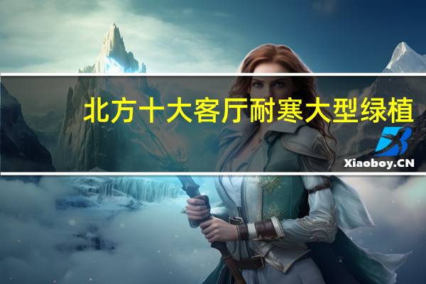 北方十大客厅耐寒大型绿植