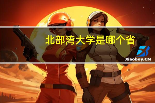 北部湾大学是哪个省
