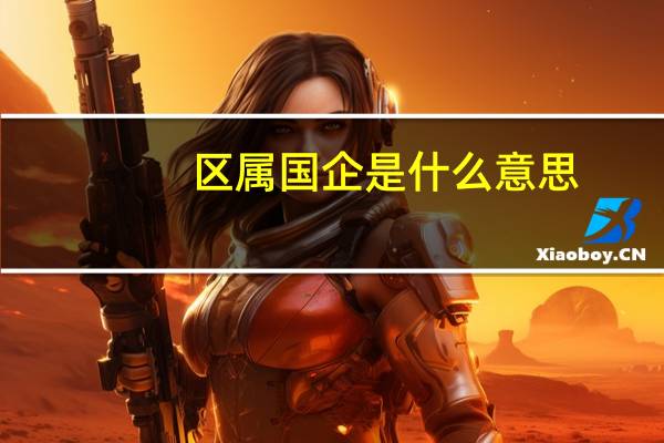 区属国企是什么意思