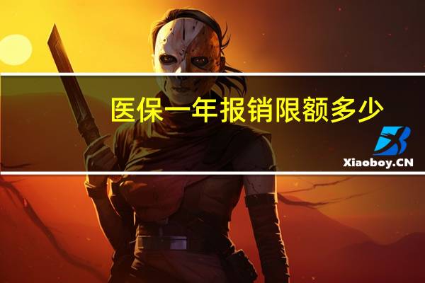 医保一年报销限额多少