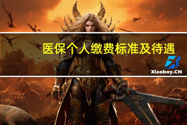 医保个人缴费标准及待遇