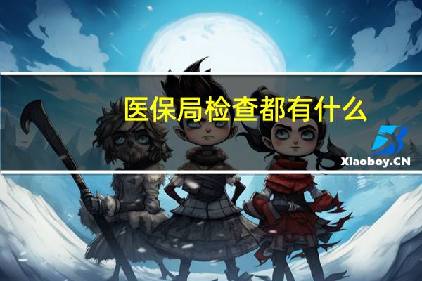 医保局检查都有什么