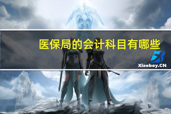 医保局的会计科目有哪些