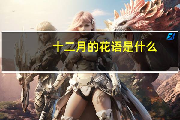 十二月的花语是什么