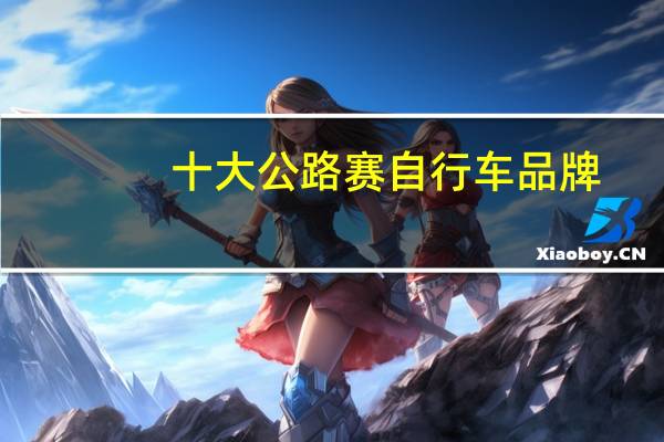 十大公路赛自行车品牌