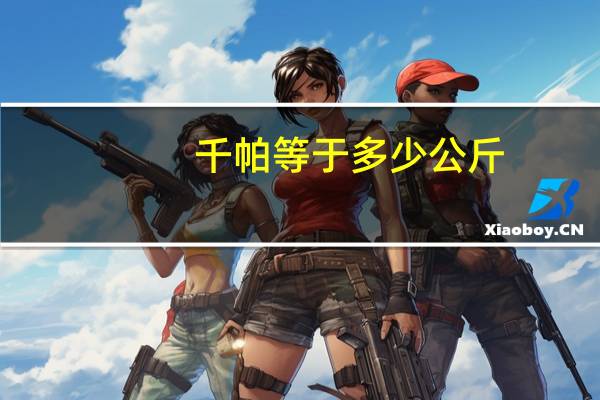 千帕等于多少公斤