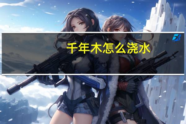 千年木怎么浇水