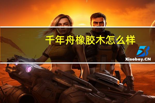 千年舟橡胶木怎么样