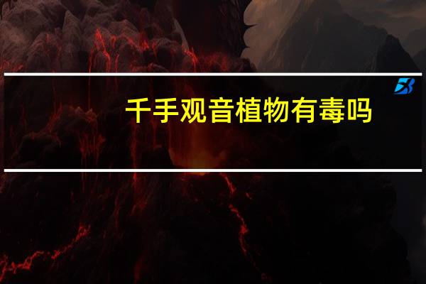 千手观音植物有毒吗