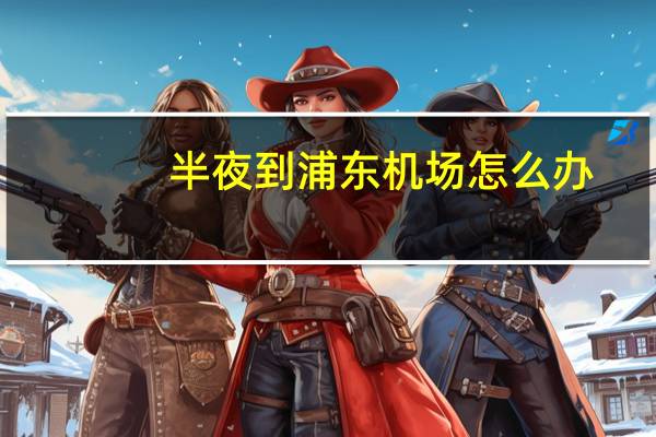 半夜到浦东机场怎么办